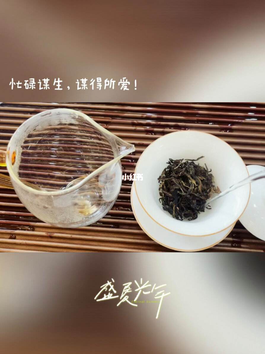 深圳品茶价格(深圳品茶500)